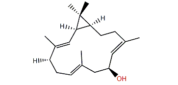 Sinularcasbane D